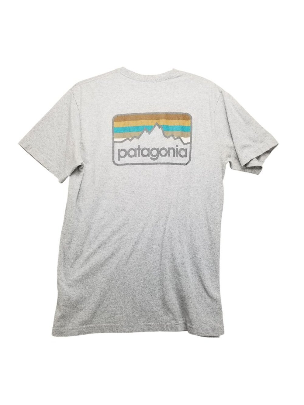 Patagonia Shirt Mens Small Gray Short Sleeve Gorpcore Graphic Tee